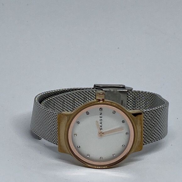 Skagen SKW1101 Women\'s stainless steel Mesh Analog Dial Quartz Wrist Watch JK636 main image 10
